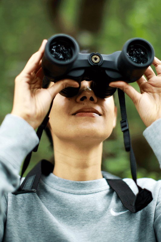 Dharana at Shillim 5*